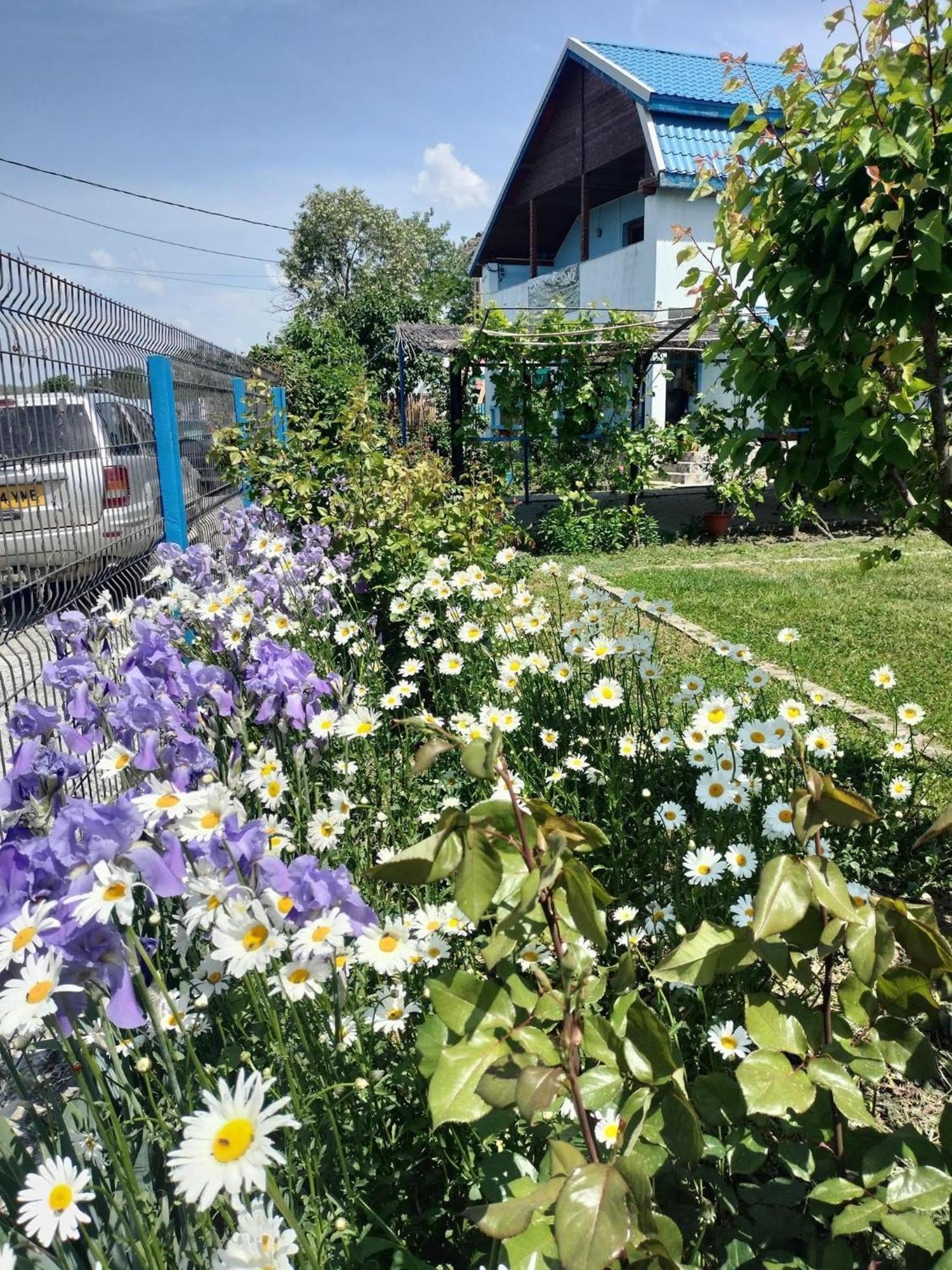 Casa Marcone Konuk evi Partizanii Dış mekan fotoğraf
