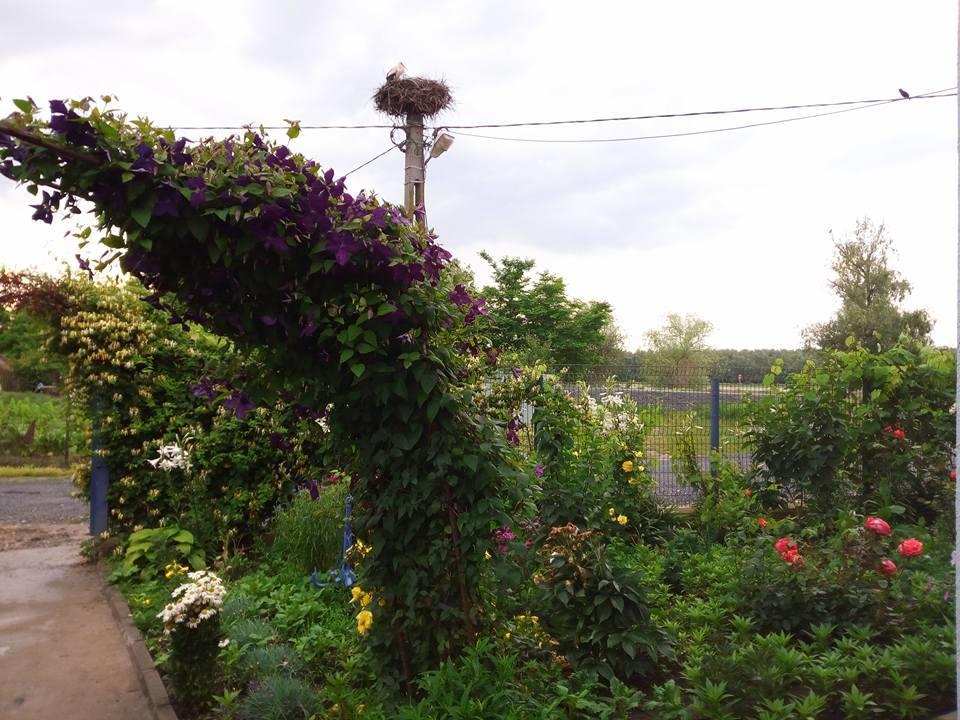 Casa Marcone Konuk evi Partizanii Dış mekan fotoğraf